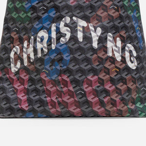Alesso Small Hobo Bag - Multi (Pre-Order)